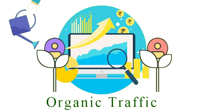 Organic Traffic